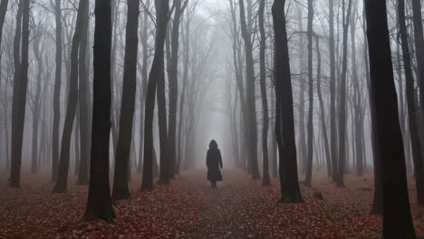 woman walking in a foggy forest