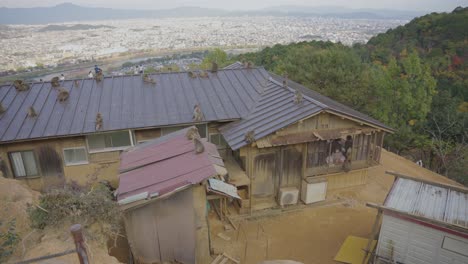 Arashiyama-Affenpark-Mit-Kyoto-Im-Hintergrund