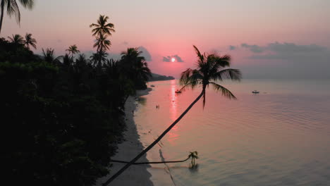 Tropical-Bali-beach-with-palm-trees-and-crimson-sunset-over-horizon