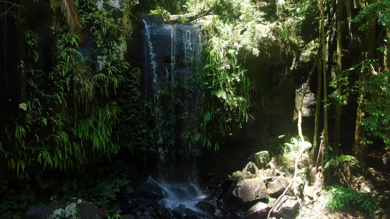 Avvicinandosi alle cascate Curtis, Monte Tamborine, ruscello della foresta pluviale, giorno d'estate Queensland Australia