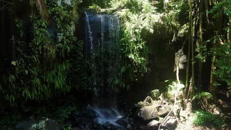 Approaching-Curtis-Falls,-Mt-Tamborine,-rain-forest-creek,-summers-day-Queensland-Australia-