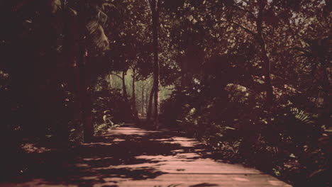 el tranquilo paseo de la jungla