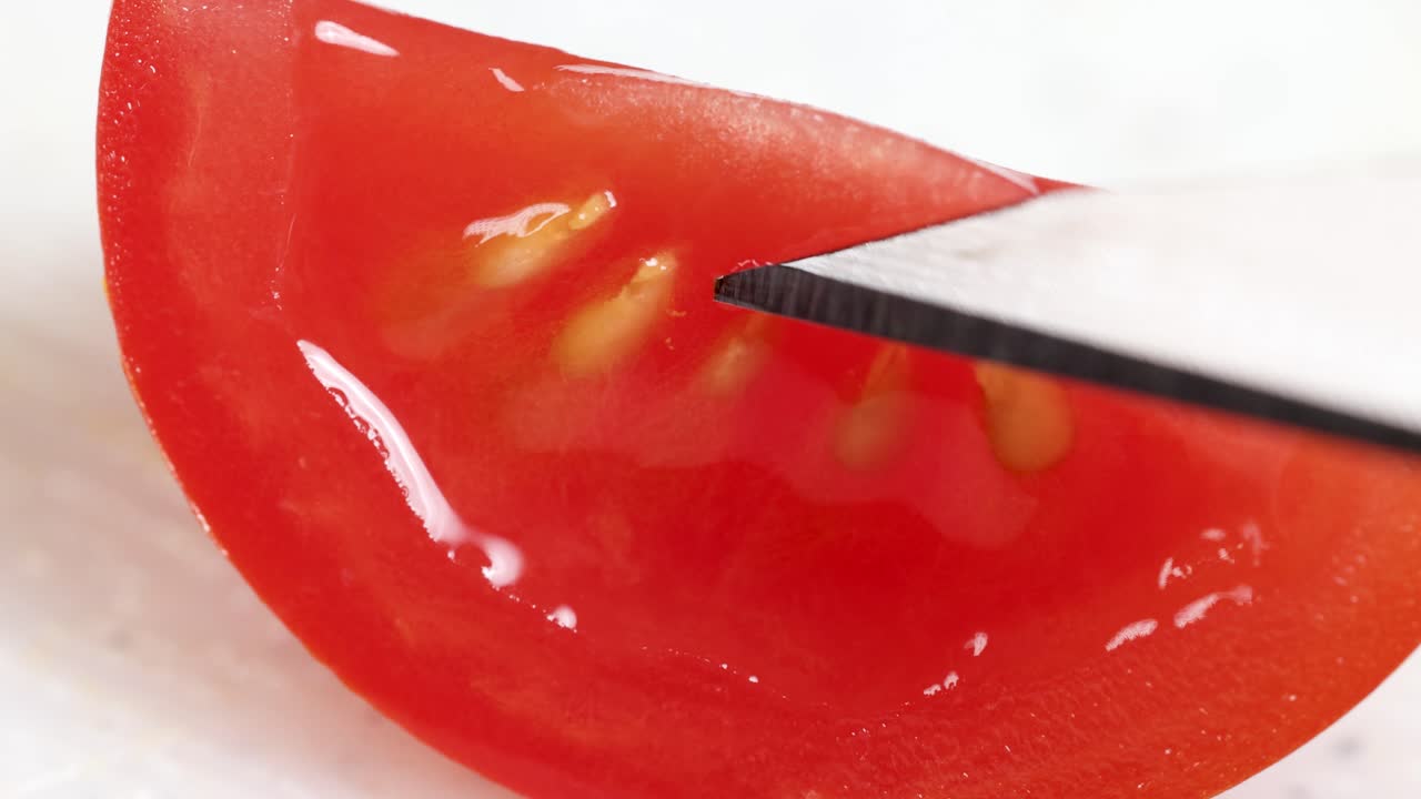 A scalpel precisely points at cherry tomato seeds in a macro close-up, highlighting scientific observation