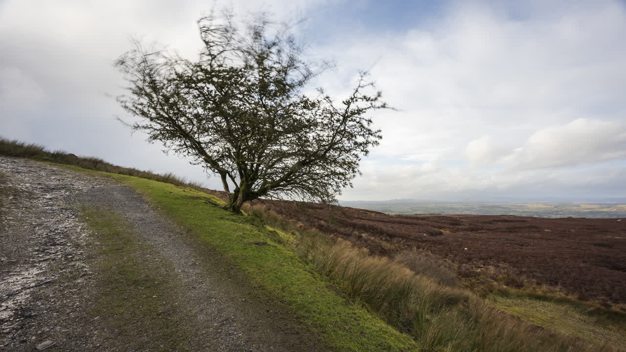 아일랜드 카운티 슬라이고에 있는 카로킬 언덕에서 낮 동안 풀, 나무, 바위의 시골과 외딴 풍경의 시간 경과