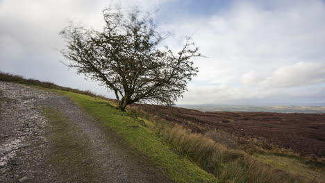 Time lapse of rural and remote landscape of grass, trees and rocks during the day in hills of Carrowkeel in county Sligo, Ireland