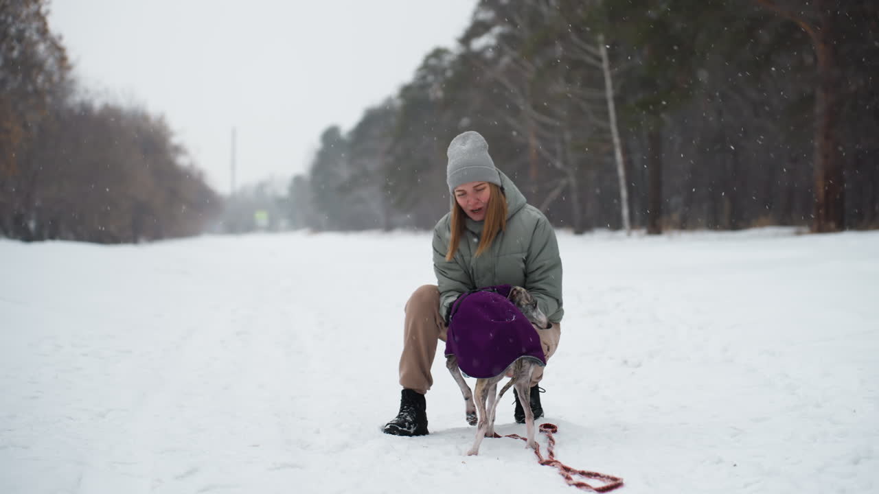 Woman crouching in snowy park giving loving attention to dog wearing purple coat during winter walk, gently caressing its face, surrounded by falling snow, expressing warmth, care, and joyful companionship