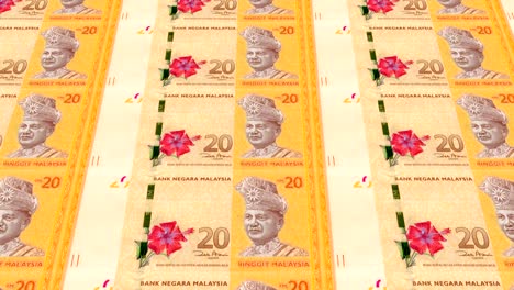 banknotes of twenty malaysian ringgit of malaysia, cash money, loop