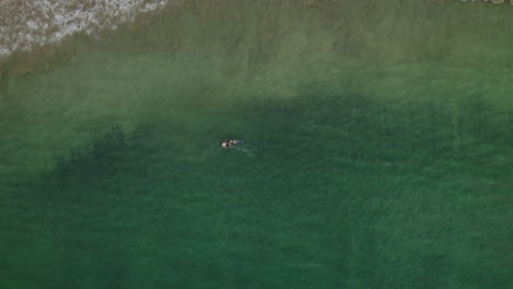 Una-Pareja-Se-Toma-De-La-Mano-Mientras-Bucea-En-Una-Playa-Caribeña-En-La-Isla-De-Tobago-Vista-Aérea-Descendente