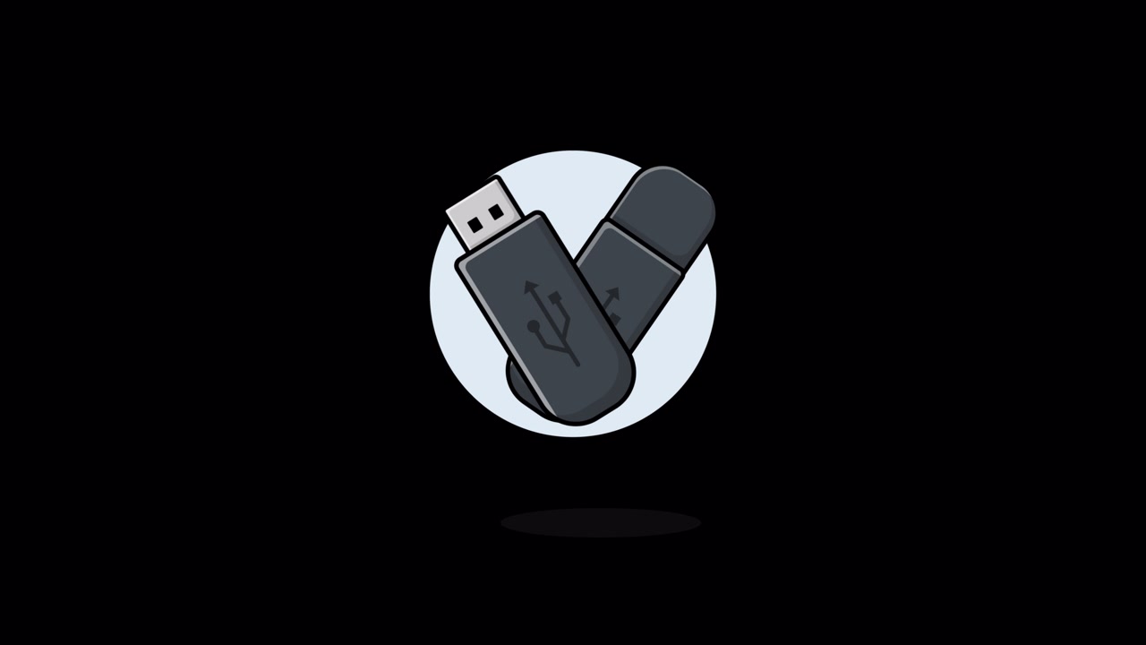 Illustrazione animata di due chiavette USB