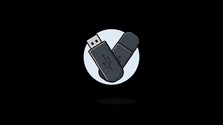 Illustrazione animata di due chiavette USB