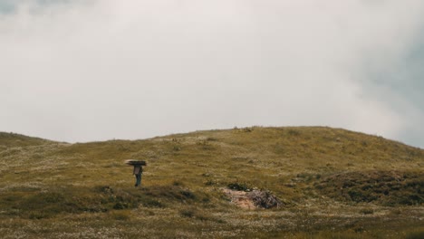 A-mountain-farmer-carrying-wood-in-a-beautiful-swiss-landscape