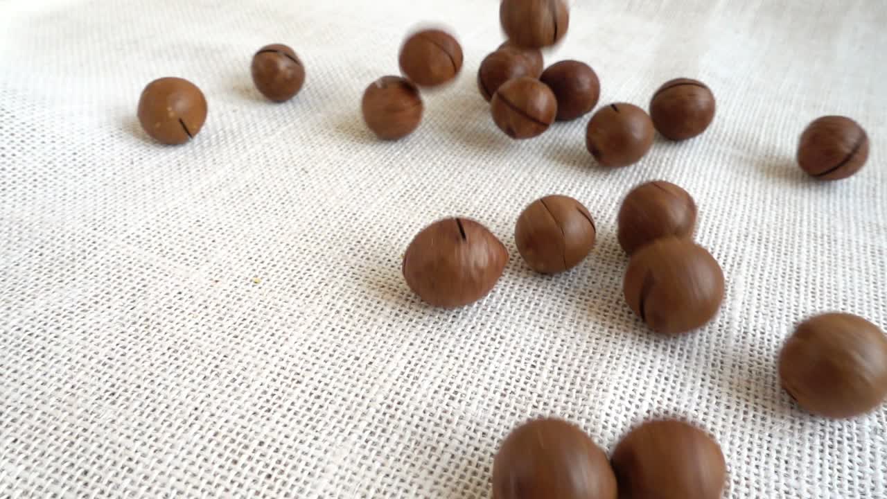 Noci di macadamia. Riprese mentre cadono su un sacco. Rallentatore