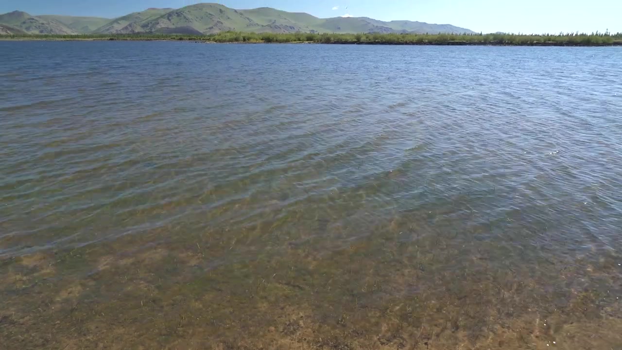 Água Límpida Ondulando na Margem de um Lago de Montanha