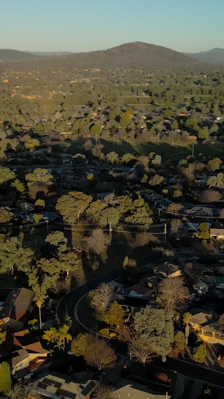 Drone verticale che sorvola le strade suburbane piene di case a South Canberra. Veduta aerea del quartiere residenziale che mostra lo sviluppo edilizio e la disposizione delle proprietà nella luce del tardo pomeriggio in formato verticale