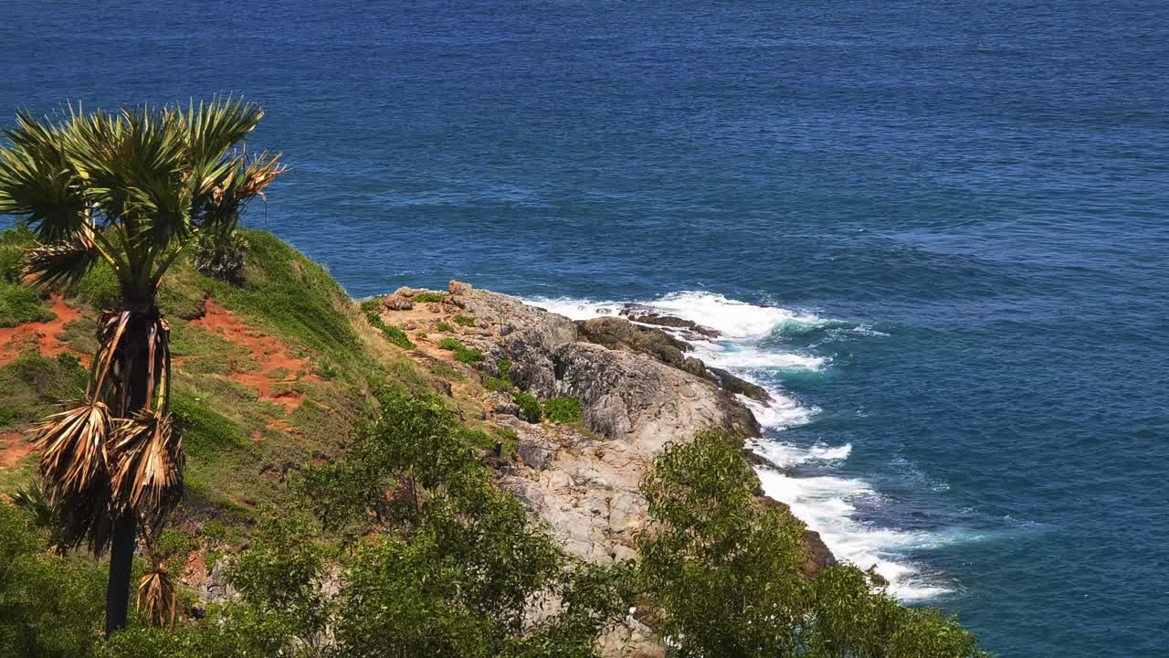 Coastal Landscape with Palm Trees and Waves