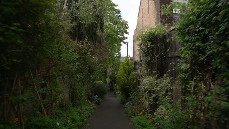 Paseo-De-Primavera-Por-El-Estrecho-Camino-De-La-Caminata-Lechera-En-Wimbledon,-Londres,-Reino-Unido,-Un-Paraíso-Urbano-Lleno-De-Flores-Silvestres-Alrededor