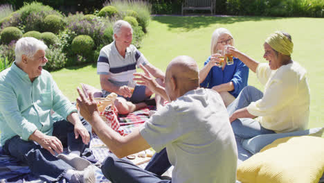 happy diverse group of senior male and female friends enjoying a picnic in sunny garden, slow motion