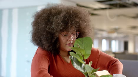 mujer de negocios biracial ocasional llevando planta en caja moviéndose a la oficina, cámara lenta con espacio de copia