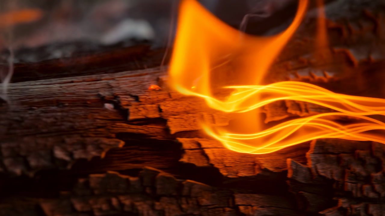 Closeup Blazing Log Flames Over Charred Wood, Ribbonlike Orange Tongues Curl Across Textured Bark, Soft Smoke