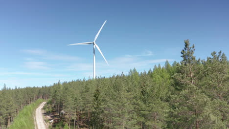 Country-road-through-pine-forest-runs-toward-spinning-wind-turbine