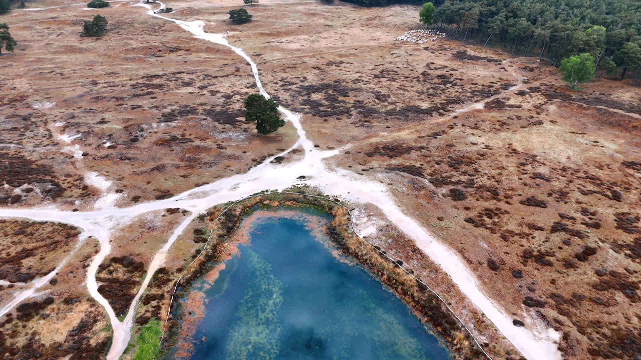 Tranquil pond in Netherlands. A serene pond surrounded by a winding path and lush trees in the Netherlands during a clear day