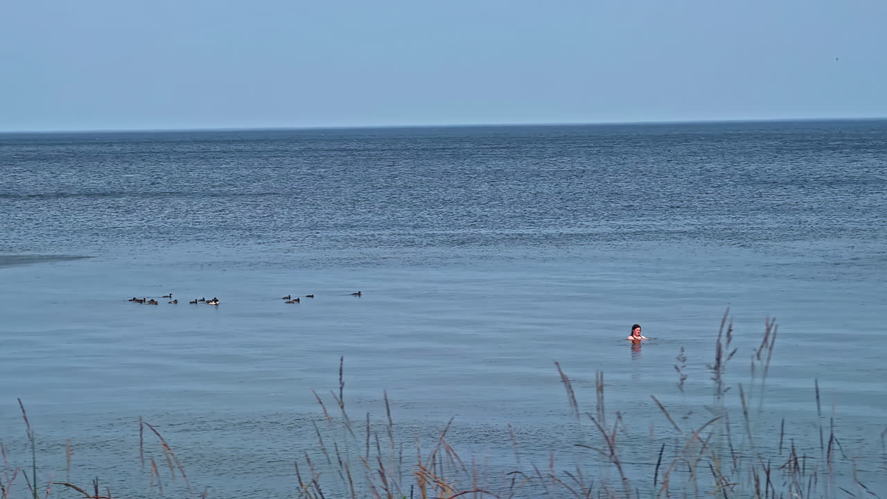Woman swimming in calm shallow lake with birds floating nearby under clear evening sky