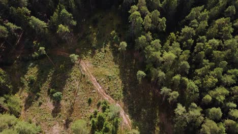 Drone-Volando-Hacia-Adelante-Sobre-Un-Hermoso-Bosque-Verde-Con-Una-Enorme-área-Vacía-Sin-árboles