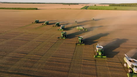 harvesting wheat field with combines