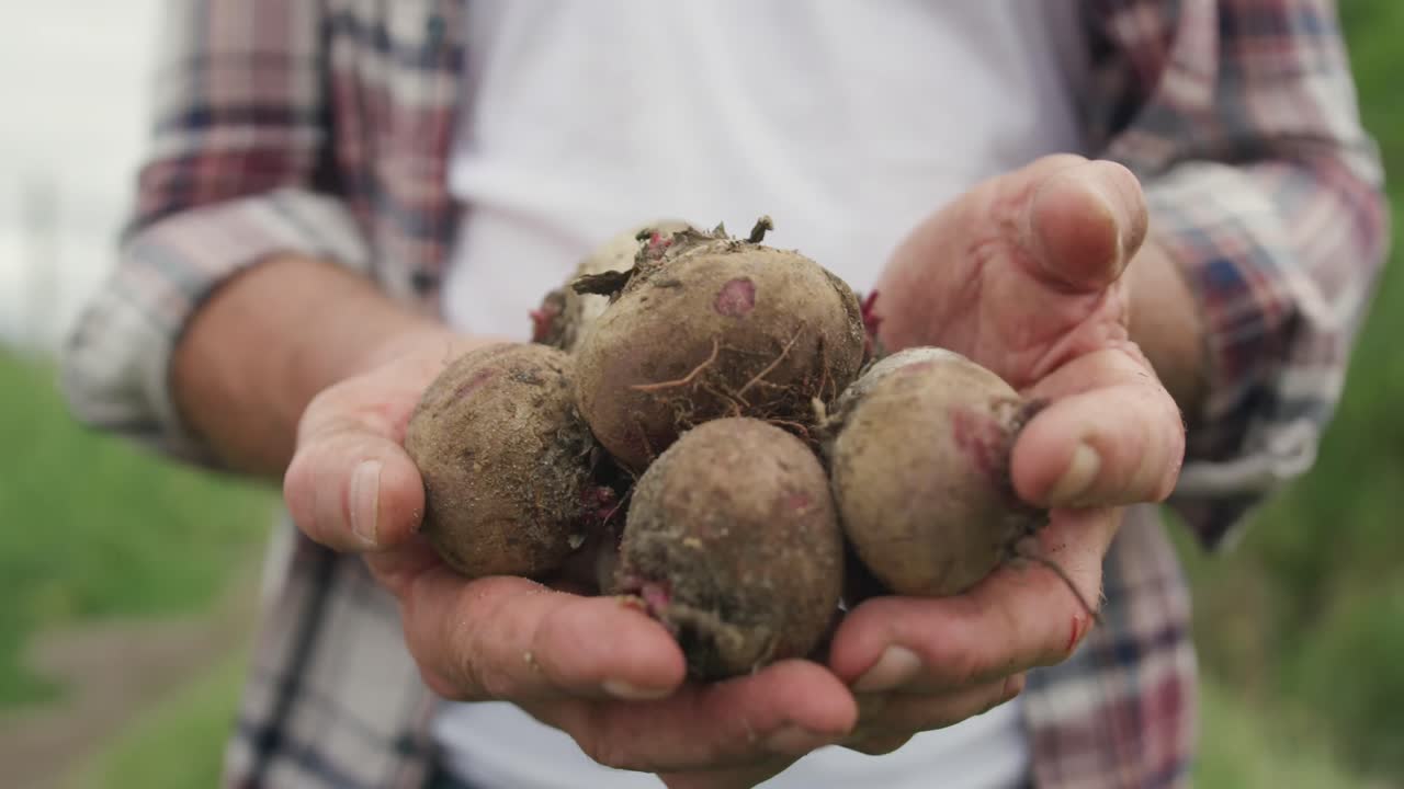 hombre maduro trabajando en una granja