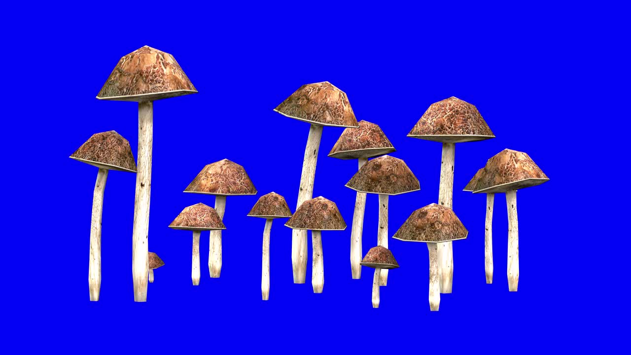 블루 스크린 3d 애니메이션에서 바람 효과와 함께 3d bolete 버섯