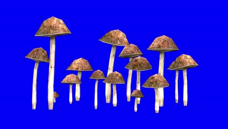 3d bolete setas con efecto viento en pantalla azul animación 3d