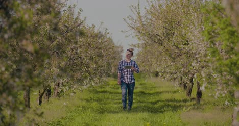 agronomist or farmer examining blossom branch in orchard 14