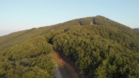 drone vifro of ski resort in the spring without snow full bloom forest, country roads sunny clear sky