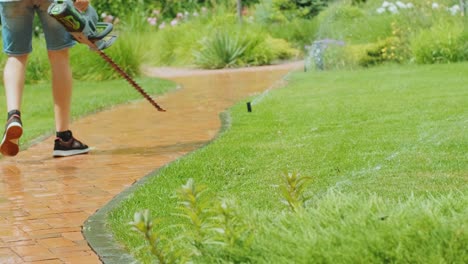 gardener walking through the garden with equipment  in hands. concept of rural life, fruit-growing, gardening.