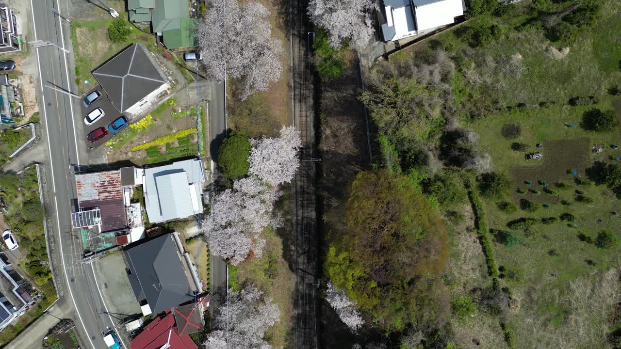 Gotemba Line train tracks in Yamakita, Japan with Sakura. Top down aerial shot