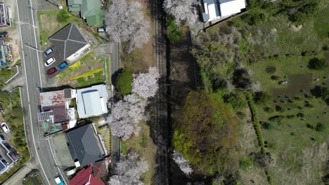 gotemba line train tracks in yamakita, japan with sakura. top down aerial shot