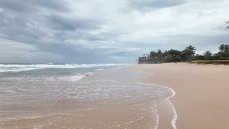 sri lanka indian ocean exotic tropical beach nature landscape calm water waves clean