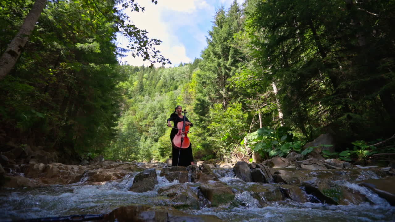 Woman plays the cello in nature. Female musician in black dress performing music in the forest among water. Violinist stands on stones of a shallow river.