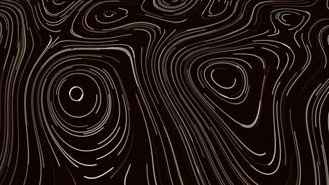 abstract topographic lines