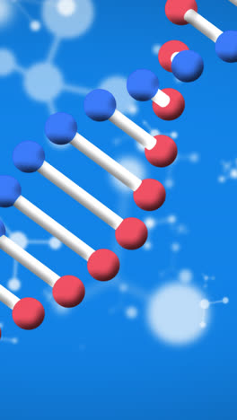 Animation-Des-Spinnens-Von-DNA-Strängen-Und-Molekülen-Auf-Blauem-Hintergrund