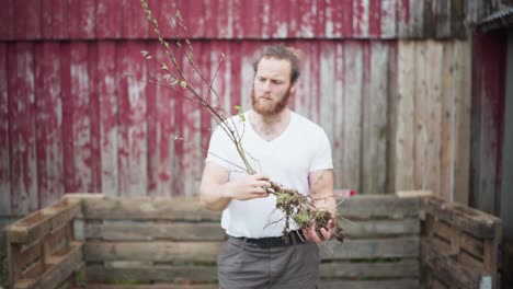 caucasian guy with a beard is holding dried plant