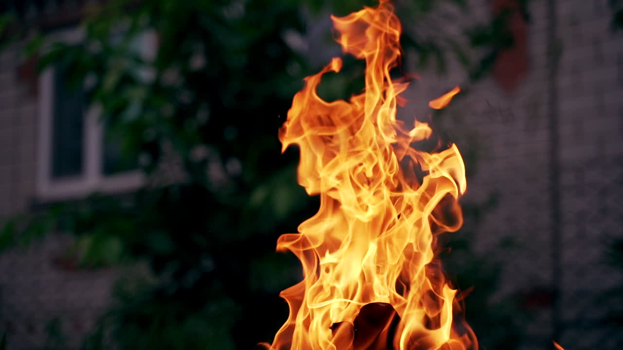 Bonfire on the background of building and green tree at darkness. Red and yellow flame surging up outdoors in the evening.