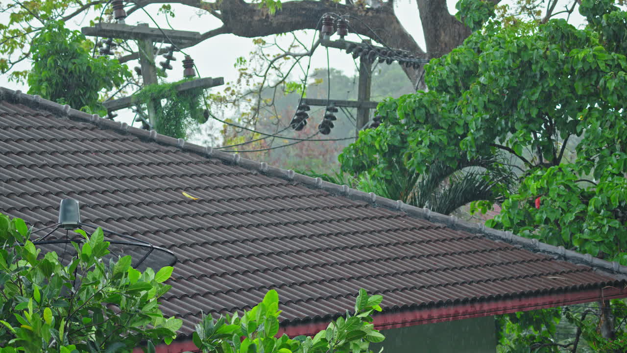 Rain Falling on a House Roof with Green Trees