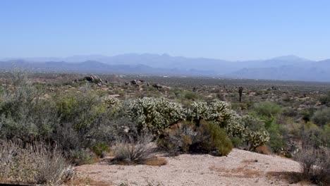 le désert de sonoran s'étend à travers la vallée au-dessous des montagnes mcdowell, scottsdale arizona