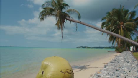 Paradiesischer-Tropischer-Blick-Auf-Frische-Kokosnuss-Mit-Palme-Und-Meer