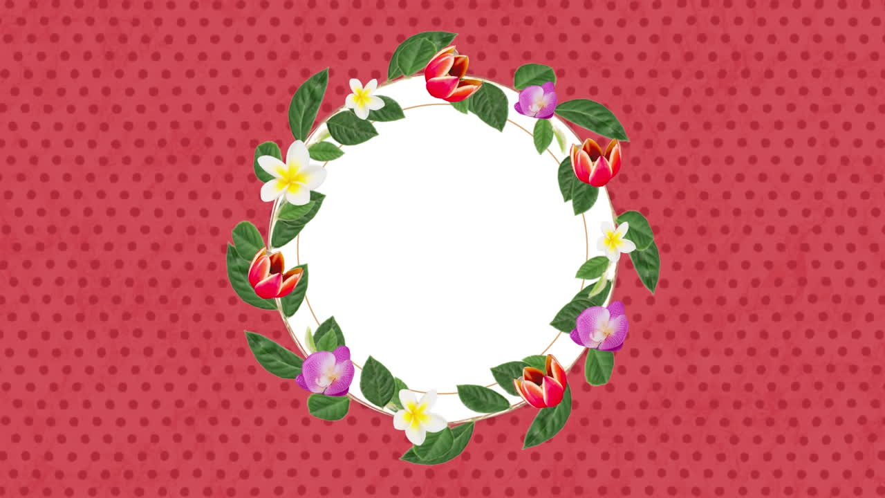 분홍색 배경에 다채로운 꽃으로 장식 된 빈 둥근 카드의 애니메이션