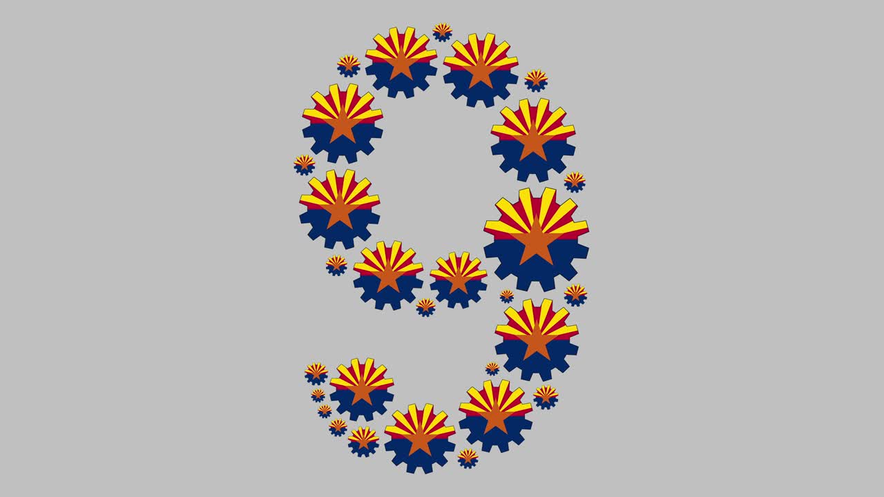 el número nueve de arizona