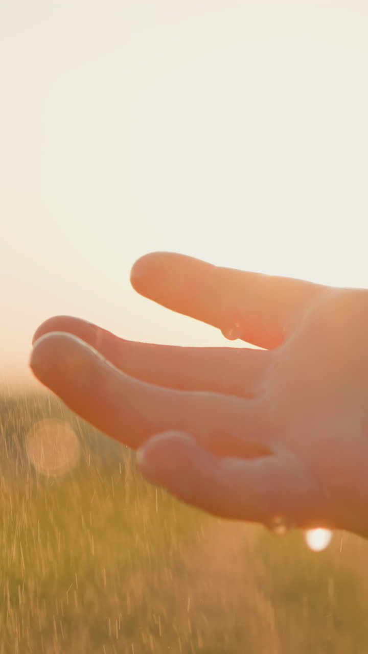 소년은 손바닥으로 가운 비를 모으고, 작은 아이는 각 방울과 함께 가운 봄 비를 열렬히 환영합니다. 초록색 주변에서 작은 보물.