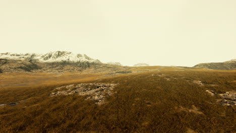 Ebene-Mit-Getrocknetem-Gras-Und-Berggipfeln-Im-Hintergrund