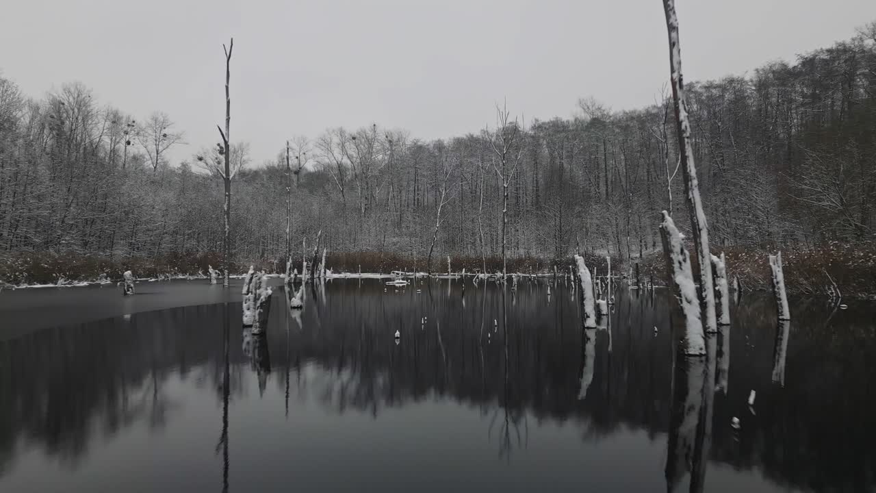 Low Dolly shot over remote icy lake amid bleak frosty woodland landscape